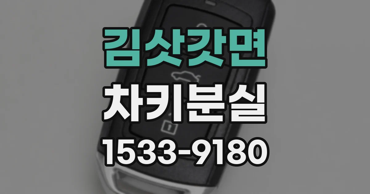 김삿갓면 차키분실