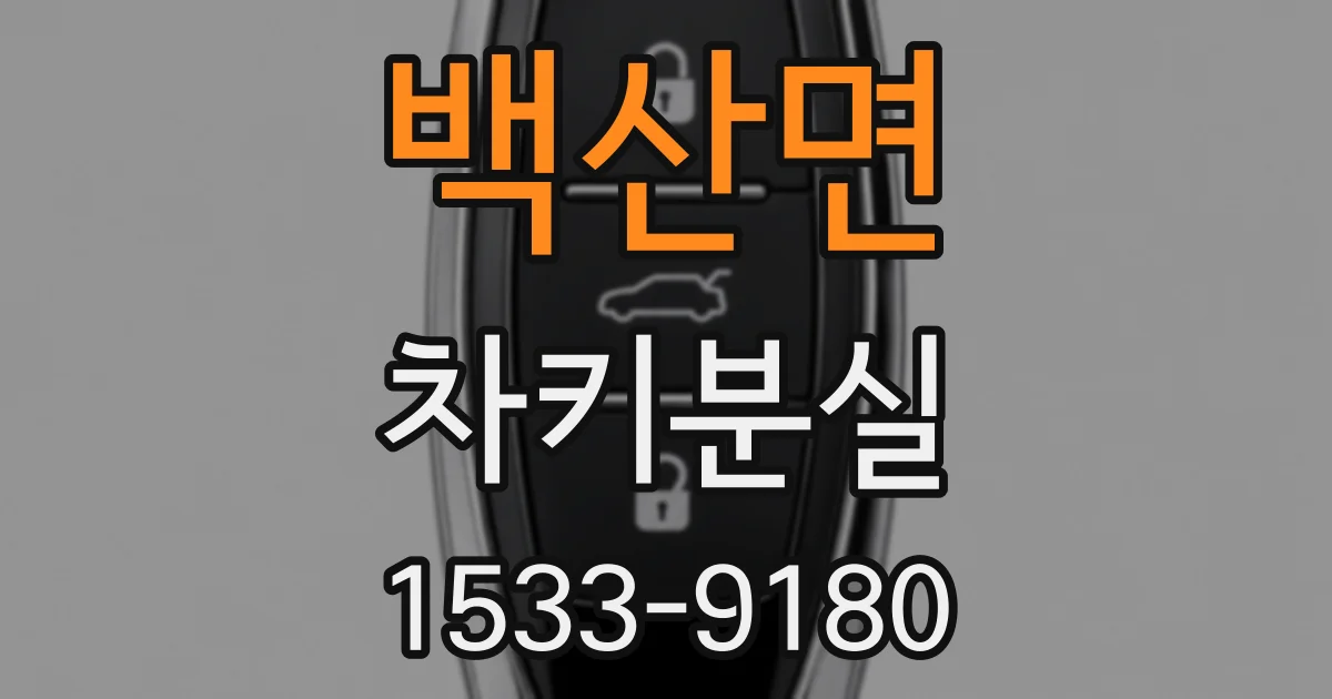 백산면 차키분실