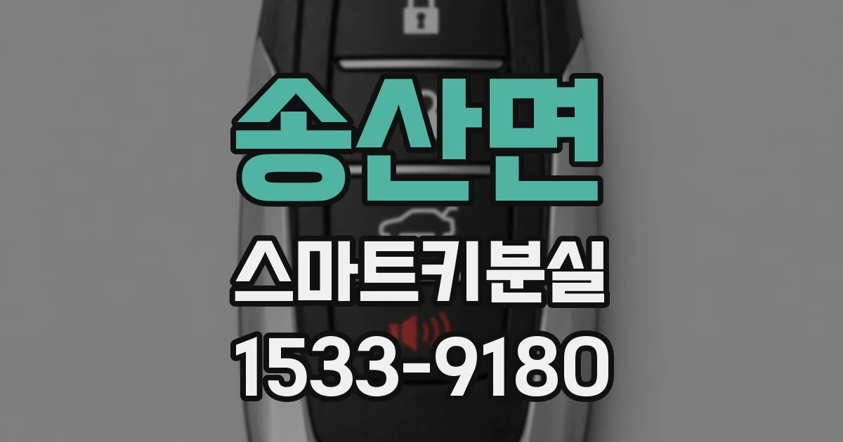 송산면 스마트키분실