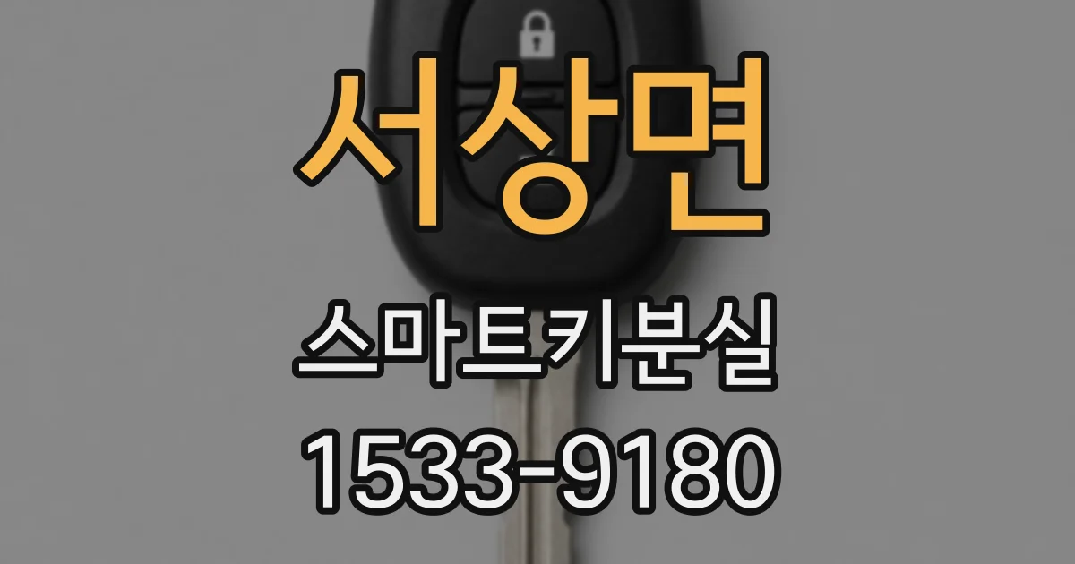 서상면 스마트키분실