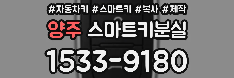 양주 스마트키분실