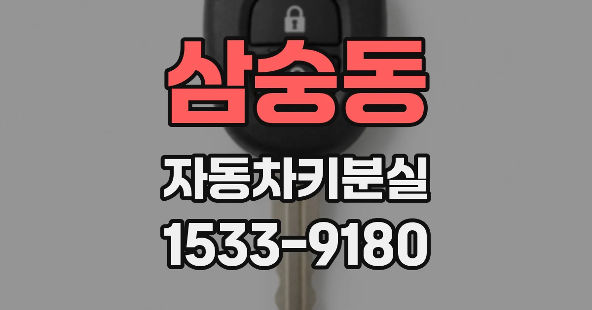 삼숭동 자동차키분실