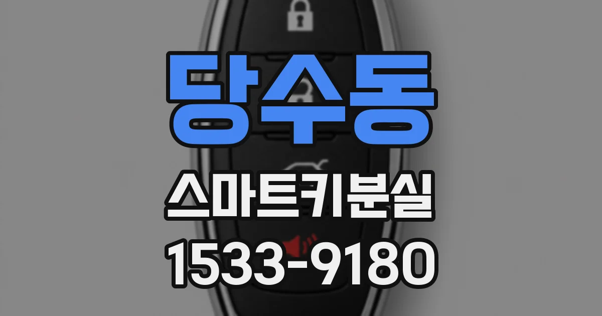 당수동 스마트키분실