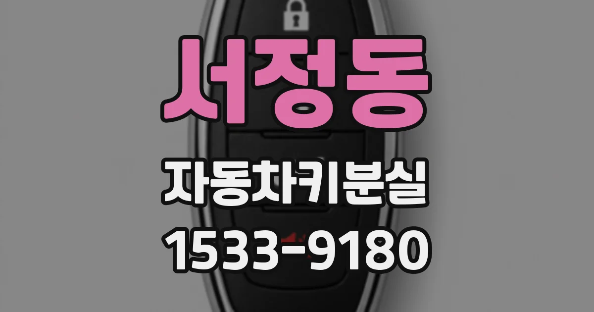서정동 자동차키분실