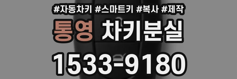통영 차키분실