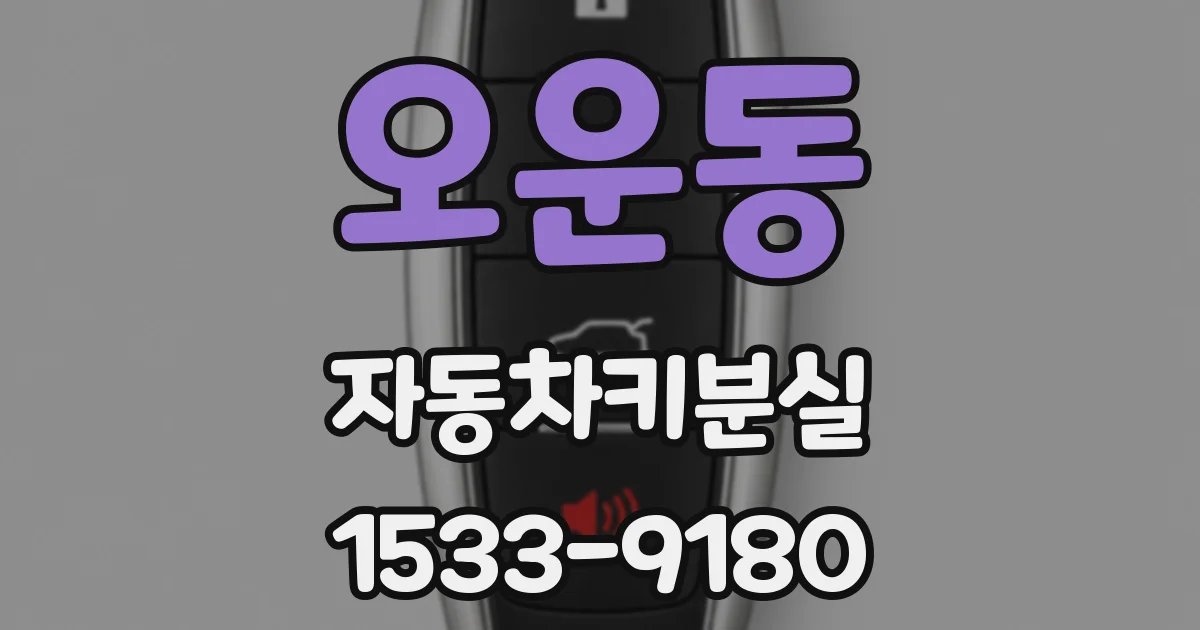 오운동 자동차키분실