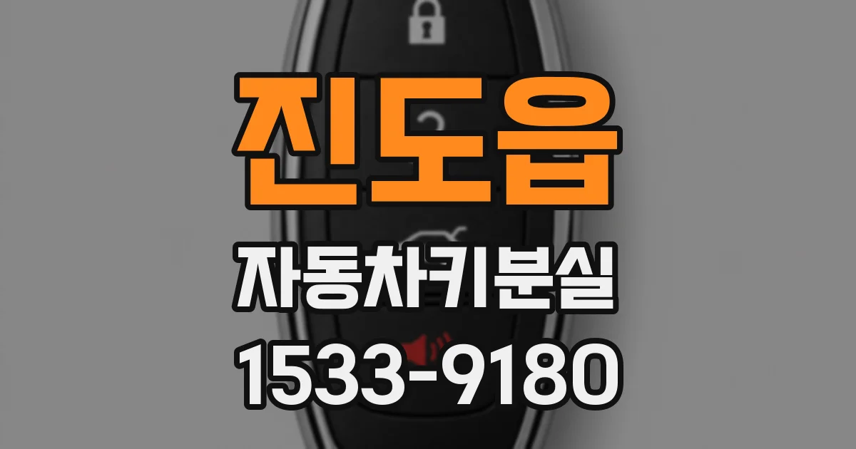 진도읍 자동차키분실