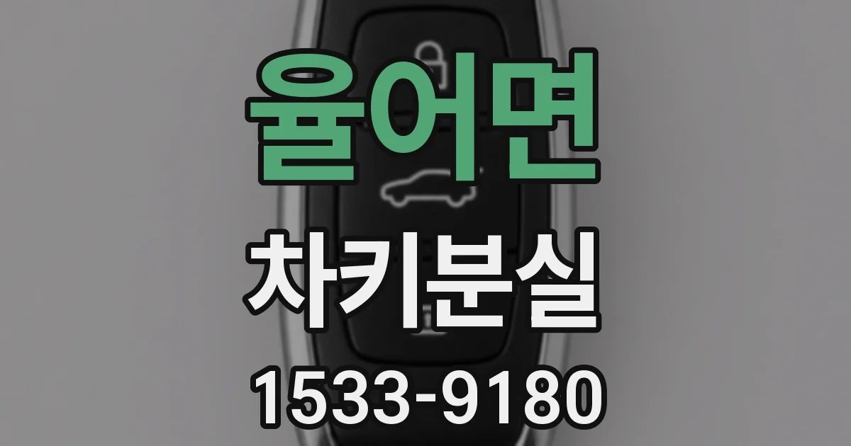 율어면 차키분실
