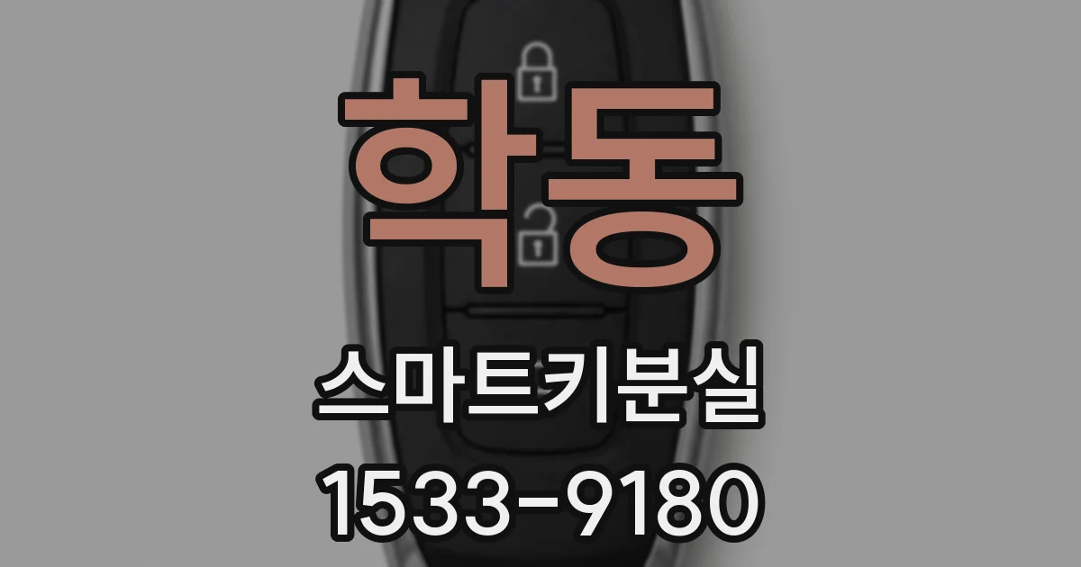 학동 스마트키분실