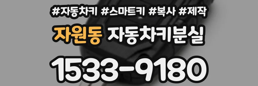 자원동 자동차키분실