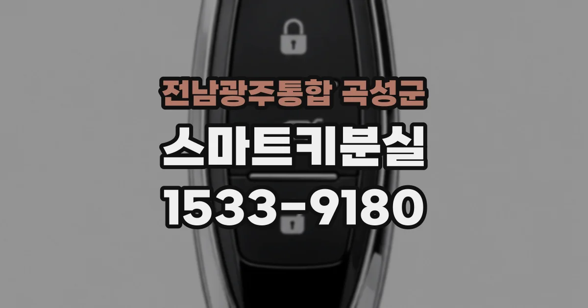 전남광주통합 곡성군 스마트키분실