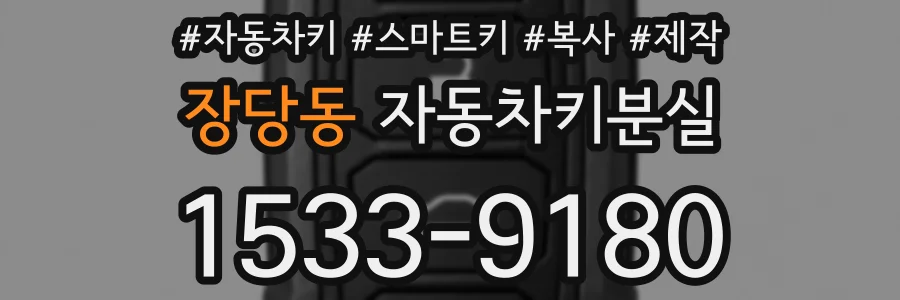 장당동 자동차키분실