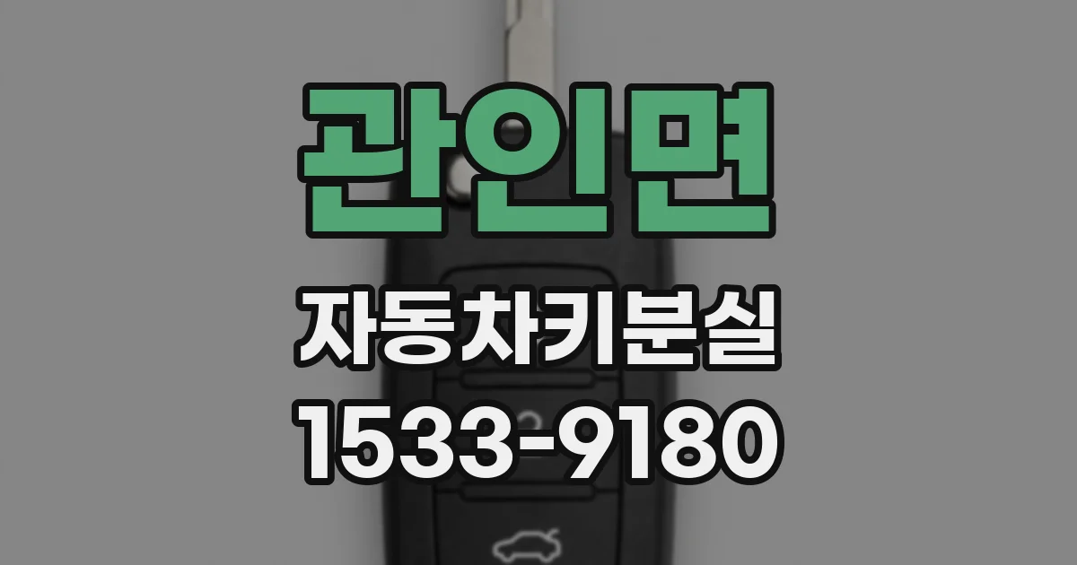 관인면 자동차키분실