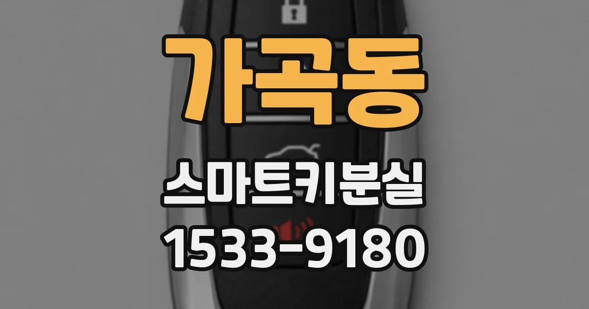 가곡동 스마트키분실
