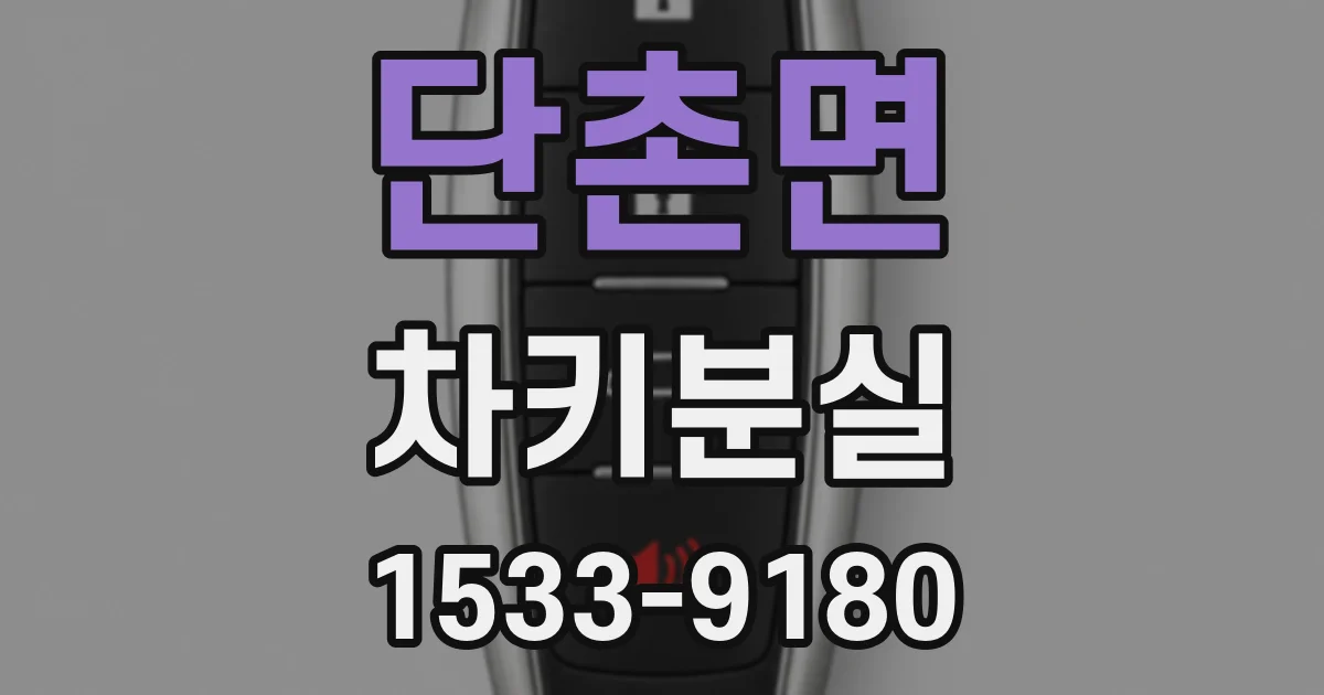 단촌면 차키분실