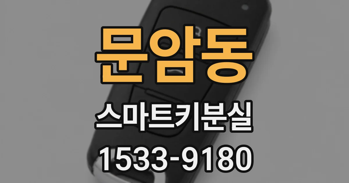 문암동 스마트키분실
