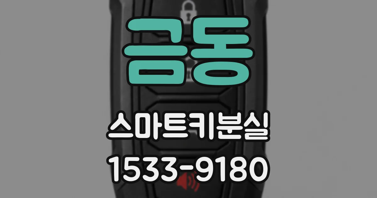 금동 스마트키분실