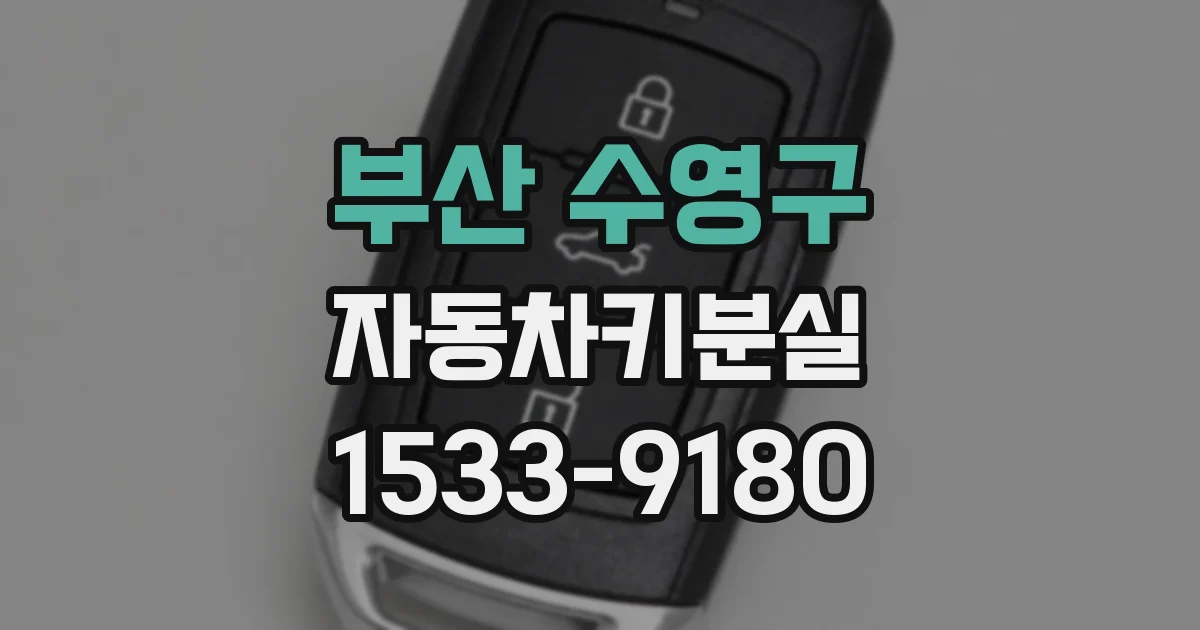 부산 수영구 자동차키분실