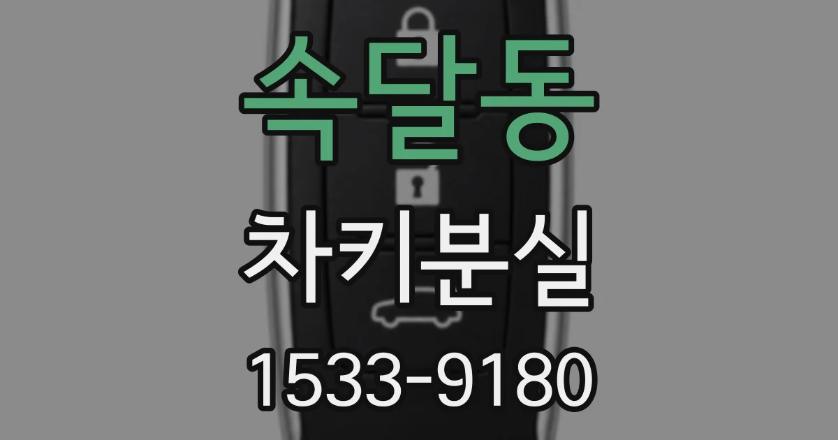 속달동 차키분실