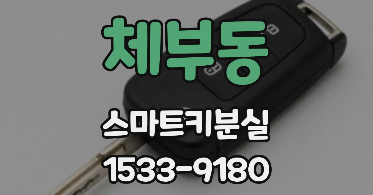 체부동 스마트키분실