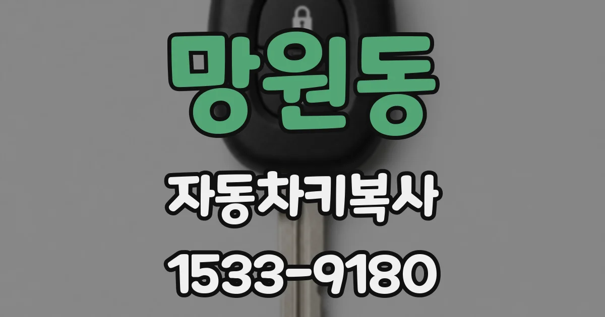 망원동 자동차키복사