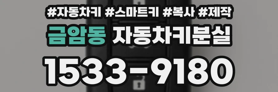 금암동 자동차키분실