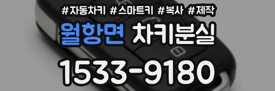 월항면 차키분실