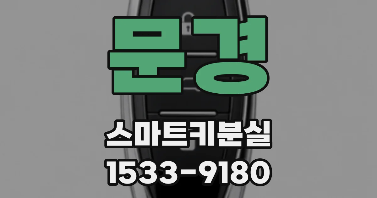 문경 스마트키분실