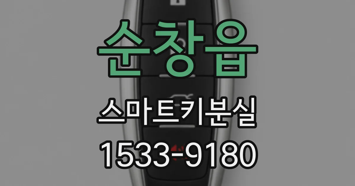 순창읍 스마트키분실