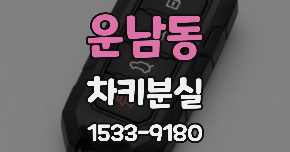운남동 차키분실