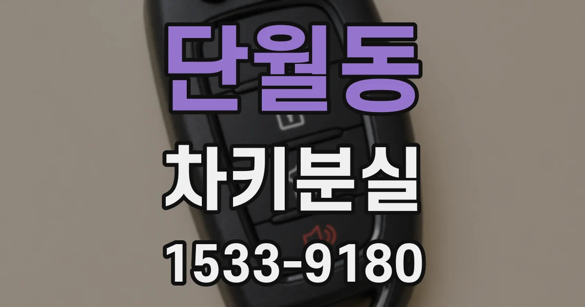 단월동 차키분실