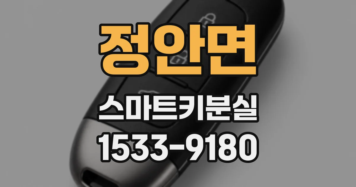 정안면 스마트키분실