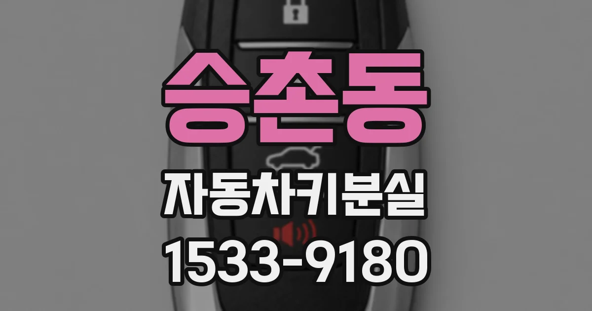 승촌동 자동차키분실