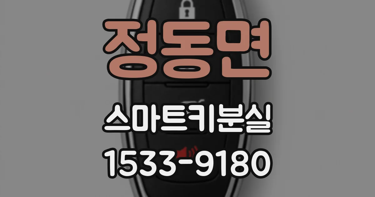 정동면 스마트키분실