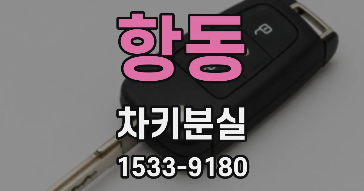 항동 차키분실