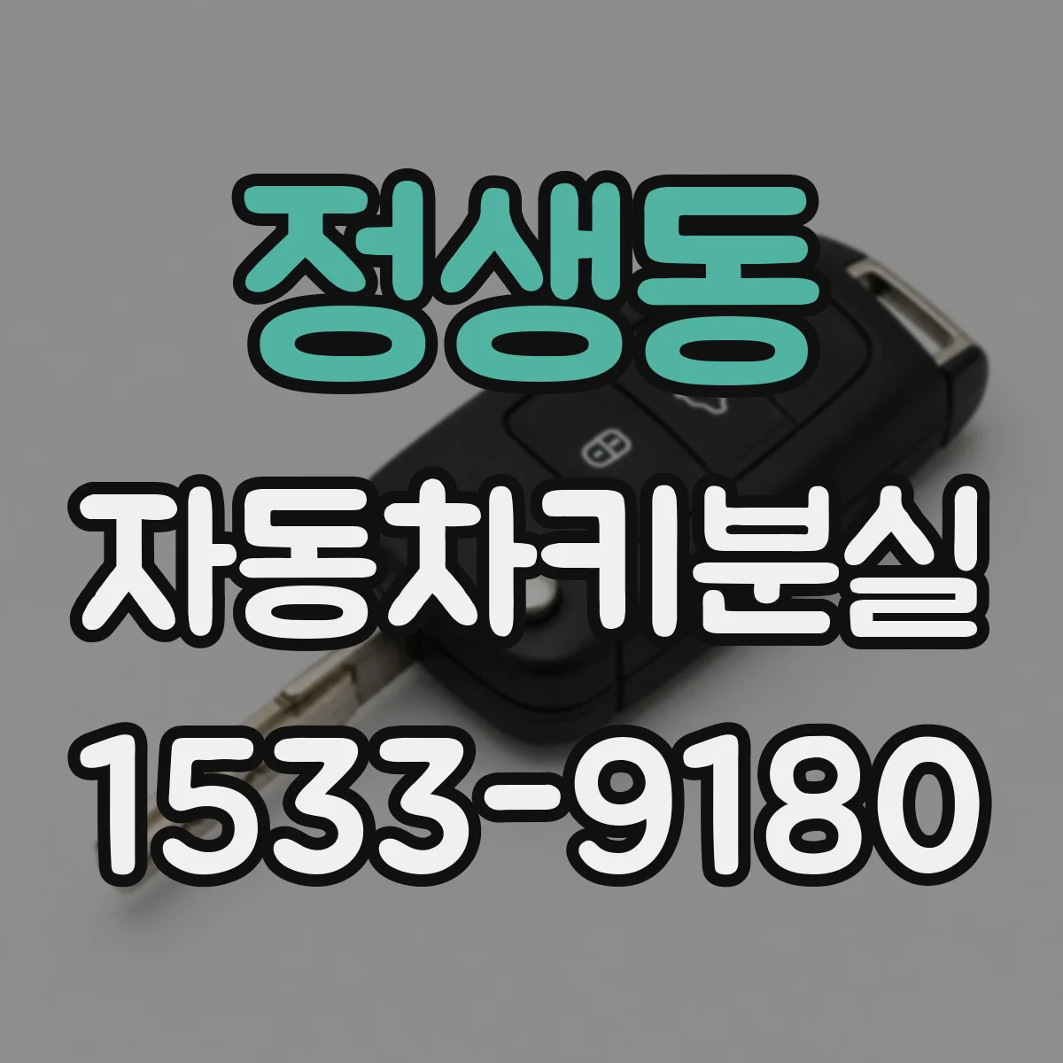 정생동 자동차키분실
