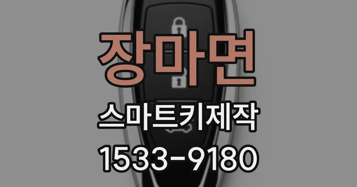 장마면 스마트키제작