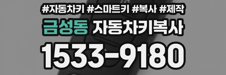 금성동 자동차키복사