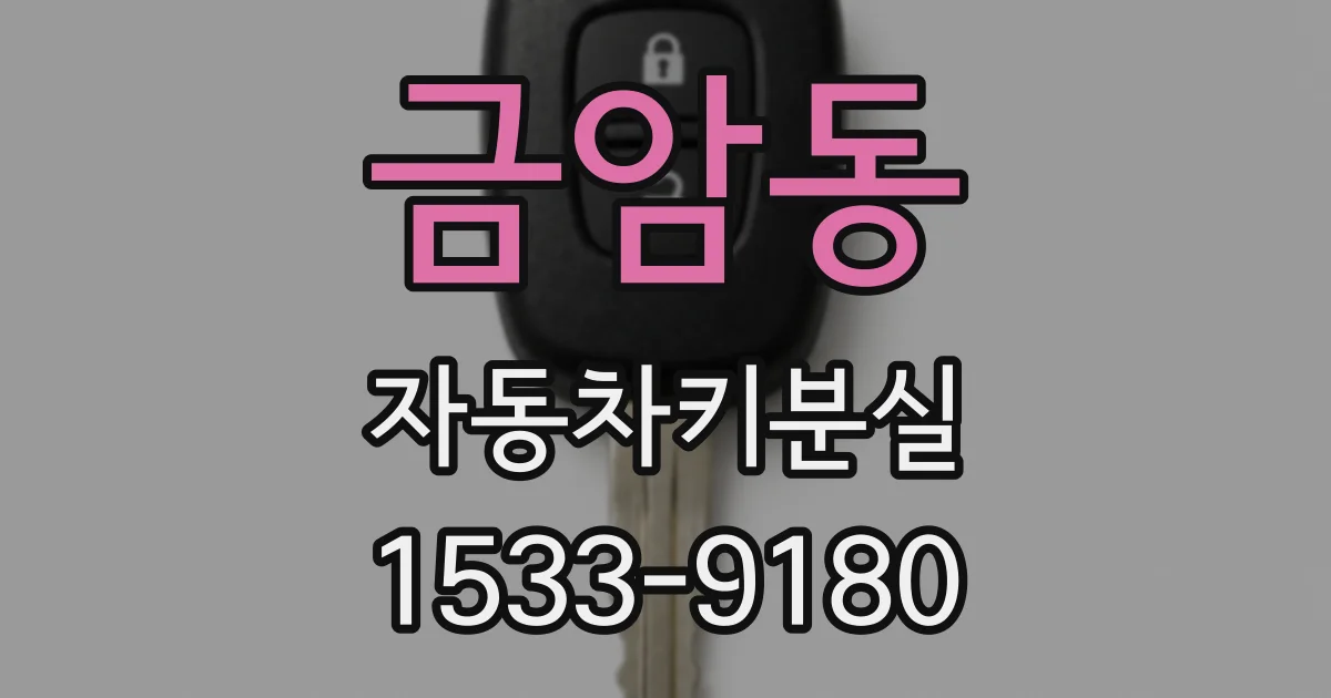 금암동 자동차키분실