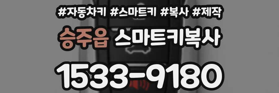 승주읍 스마트키복사