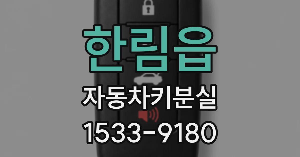 한림읍 자동차키분실