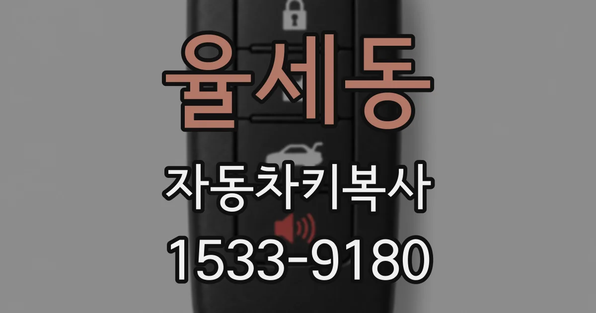 율세동 자동차키복사