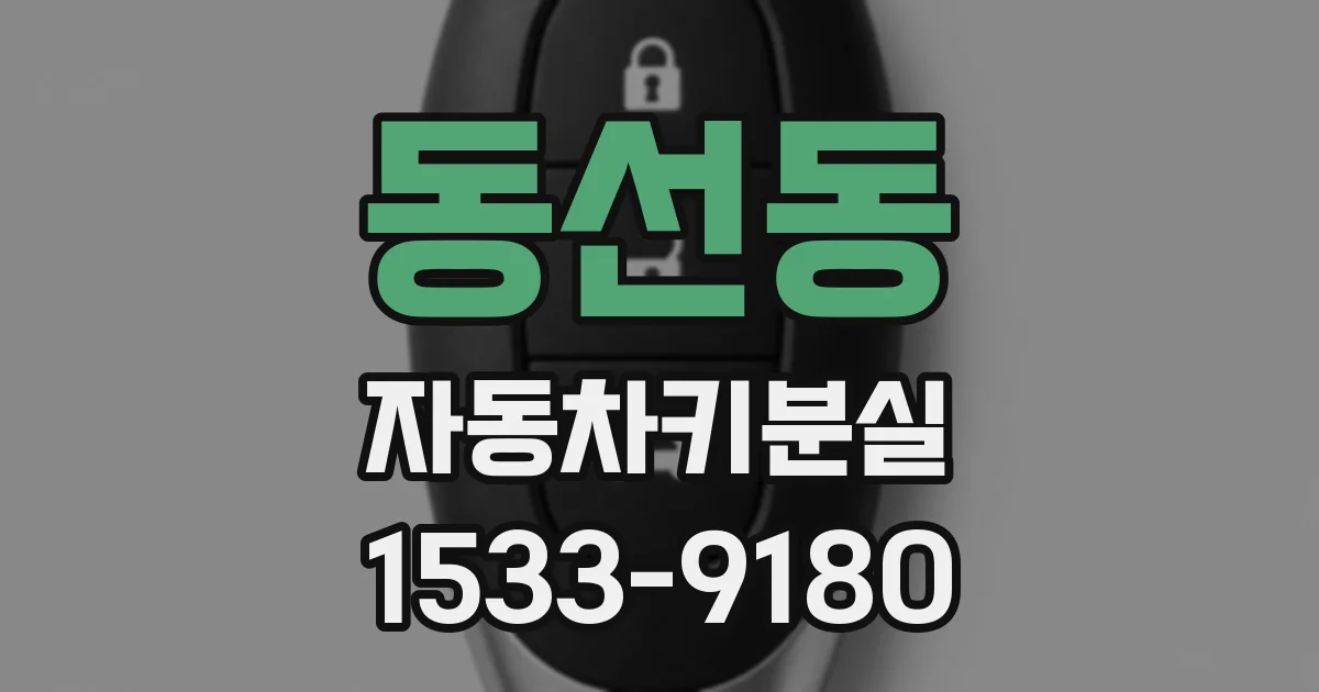 동선동 자동차키분실