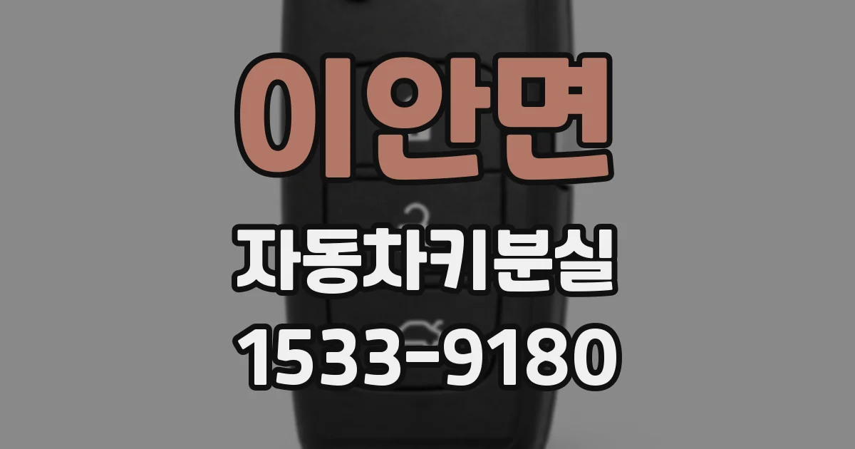 이안면 자동차키분실