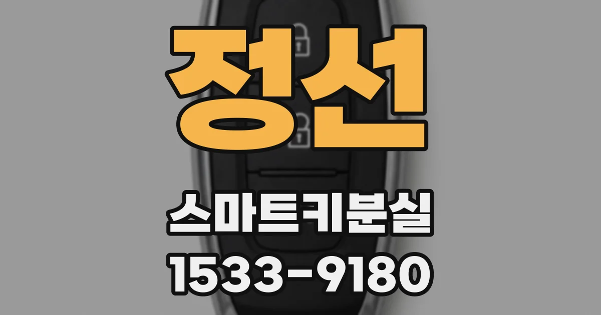 정선 스마트키분실