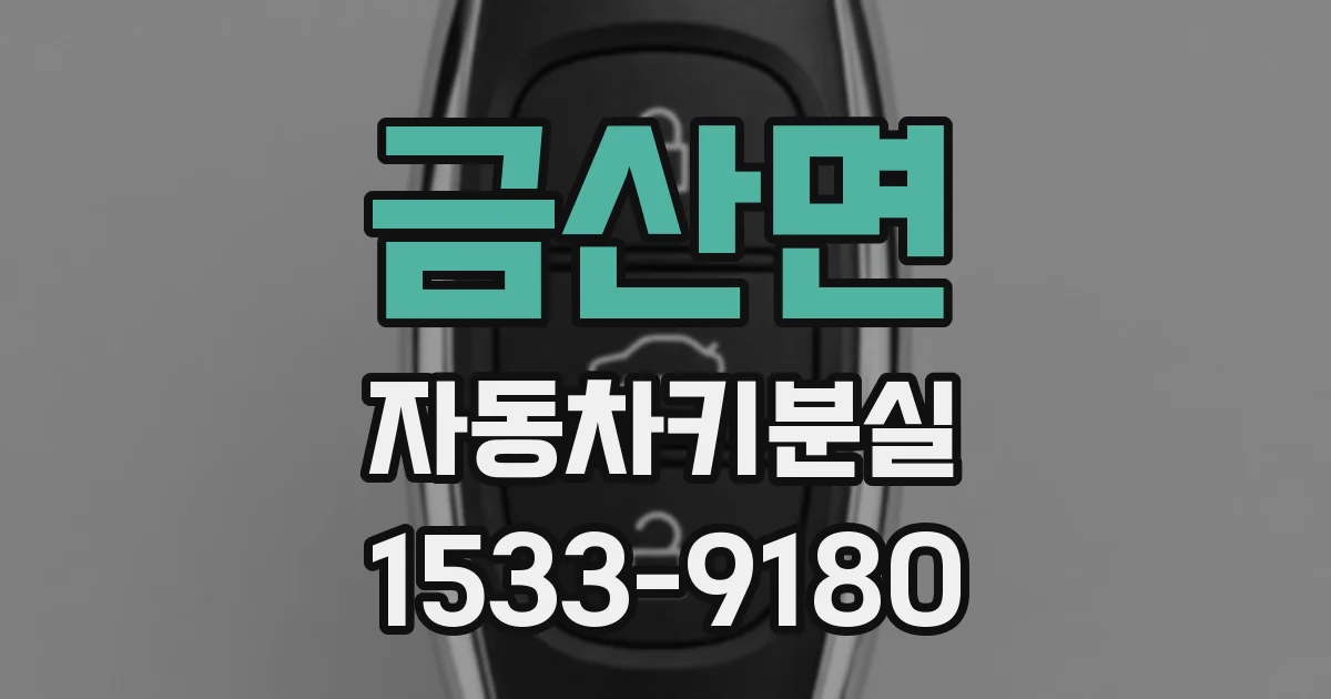 금산면 자동차키분실