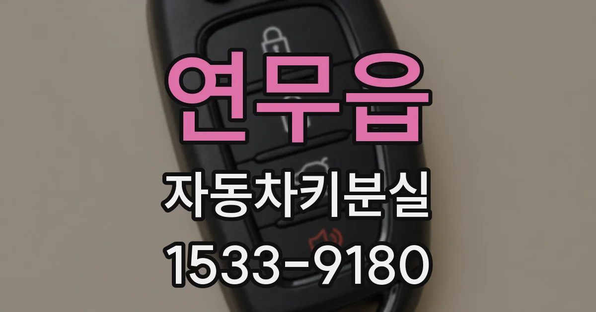 연무읍 자동차키분실
