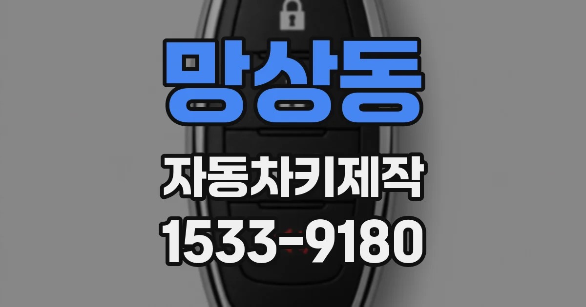 망상동 자동차키제작