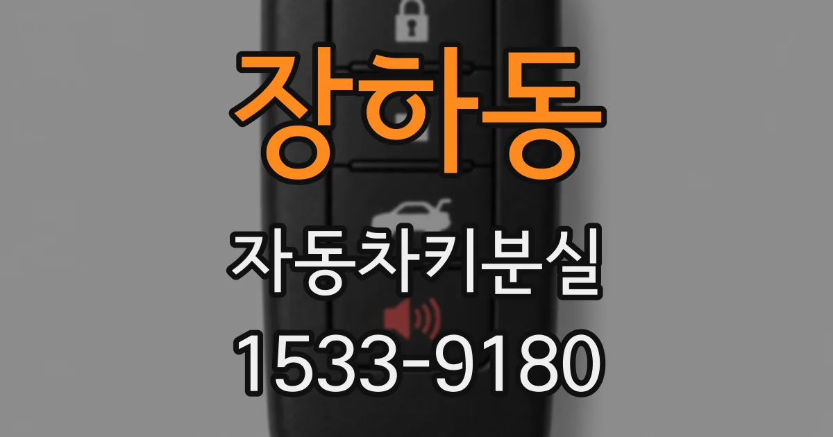 장하동 자동차키분실