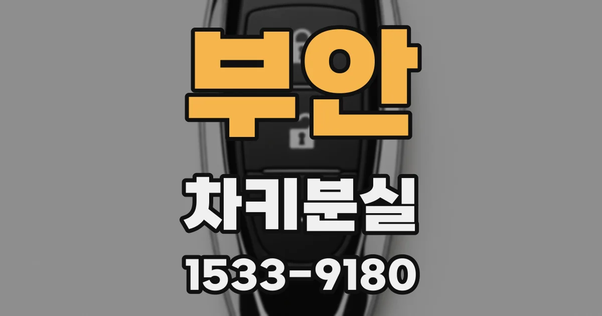 부안 차키분실